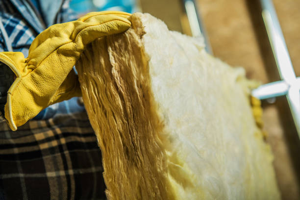 Best Insulation Maintenance and Repair in Ranson, WV