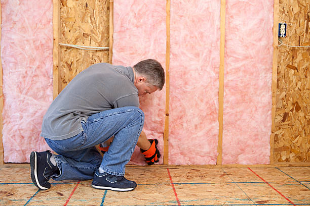 Best Specialized Insulation Services in Ranson, WV